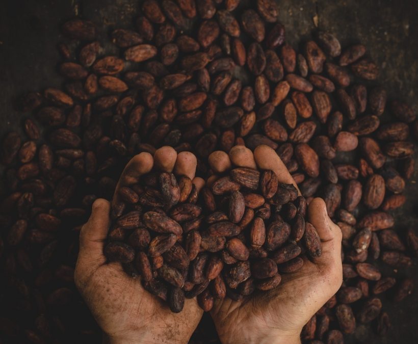 Heilsam und verführerisch: Kakao und Schokolade im Ayurveda